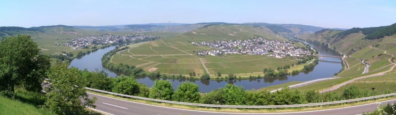 Galerie Riesling Hotel Тритенхайм Екстериор снимка